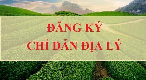Dang Ky Chi Dan Dia Ly