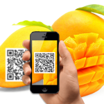 DỊch VỤ ĐĂng KÝ MÃ Qr Code Cho SẢn PhẨm