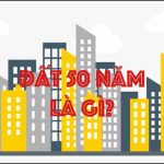 đất 50 Năm Là Gì