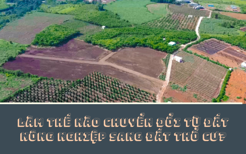 Làm thế nào chuyển đổi từ đất nông nghiệp sang đất thổ cư?