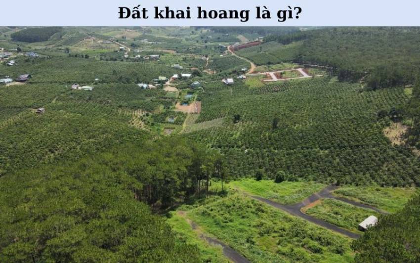 Đất khai hoang là gì?