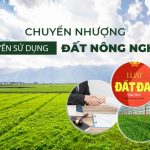 Đất Nông Nghiệp Có được Chuyển Nhượng Không?