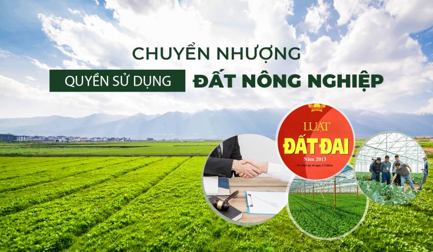 Đất nông nghiệp có được chuyển nhượng không?